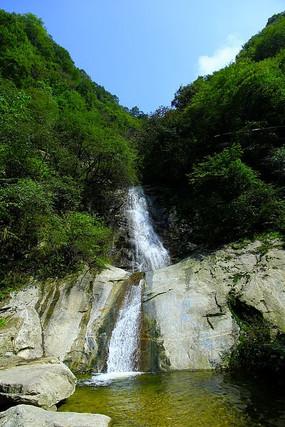 植物大战僵尸4